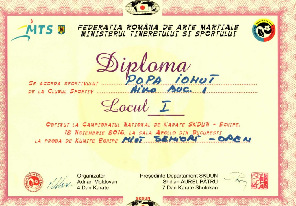 Ionut-Popa-10